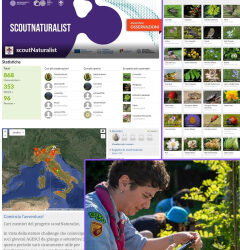 Prende ufficialmente il via la Nature Challenge scoutNaturalist