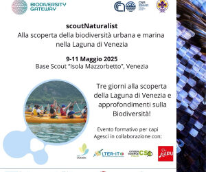 scoutNaturalist: alla scoperta della biodiversità nella Laguna di Venezia