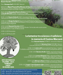 Conservazione dei relitti climatici: risultati e prospettive dal Progetto Ptilostemon. La botanica tra scienza e tradizione: in memoria di Cosimo Marcenò