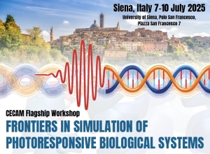 Frontiers in Simulation of Photoresponsive Biological Systems