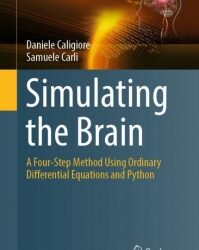 Dalla mente ai sistemi complessi: pubblicato il libro “Simulating the Brain” su modellazione con Python e ODE
