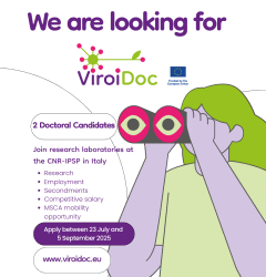 Open Call for 2 PhD Positions at Cnr-Ipsp in the frame of the MSCA Doctoral Network Viroidoc