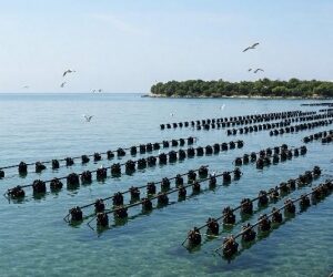 Taranto, al via il progetto “MITICA”: mitilicoltura integrata per la tutela, l’innovazione e la capacità di adattamento al cambiamento climatico ed ambientale