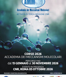 Accademia dei Meccanismi Molecolari (AMM)