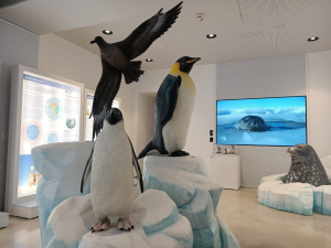 Grande successo per la mostra “Antartide. Il continente bianco, 40 anni di ricerca italiana”!