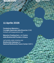 Nasce il Centro della Biodiversità Fluviale e Urbana, il Nodo Territoriale di Roma del Biodiversity Gateway