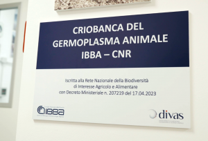 Il Cnr-Ibba designato “Centro di Riferimento Nazionale per la Conservazione del Germoplasma degli animali domestici”