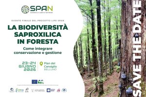 La biodiversità saproxilica in foresta. Evento finale del progetto “LIFE SPAN”