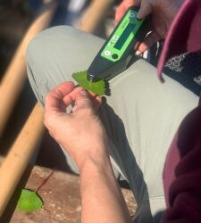 Lago di Annone, la luce riflessa dall’acqua svela lo stato di salute dell’ecosistema