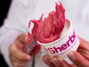CNR-IBE e The Italian Way insieme per la ricerca sul gelato artigianale